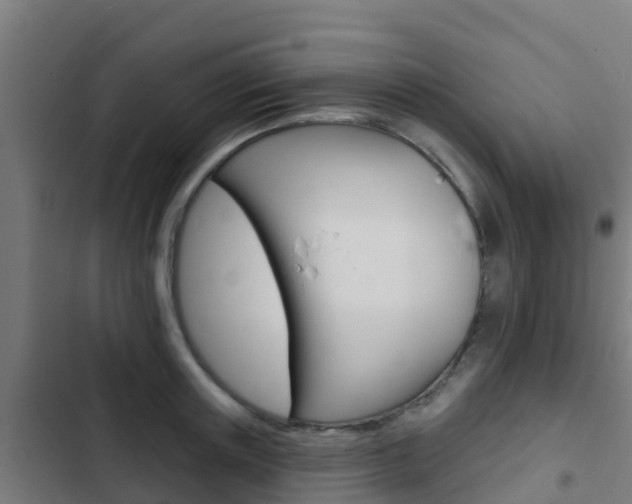 X0000103420851200809121011