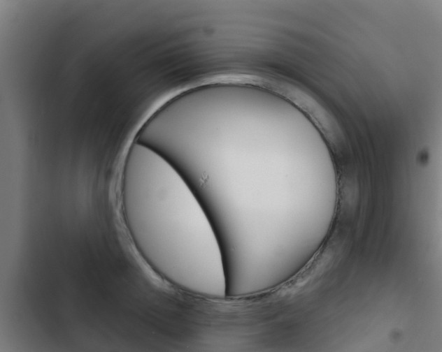 X0000103420852200809121011