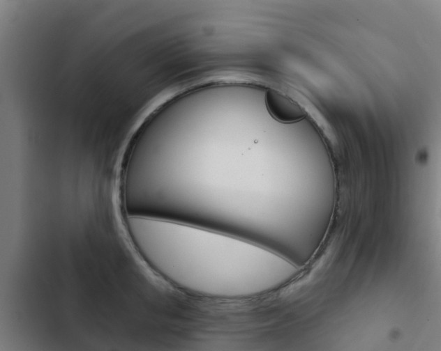 X0000103420853200809121011