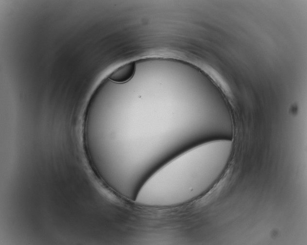 X0000103420854200809121011