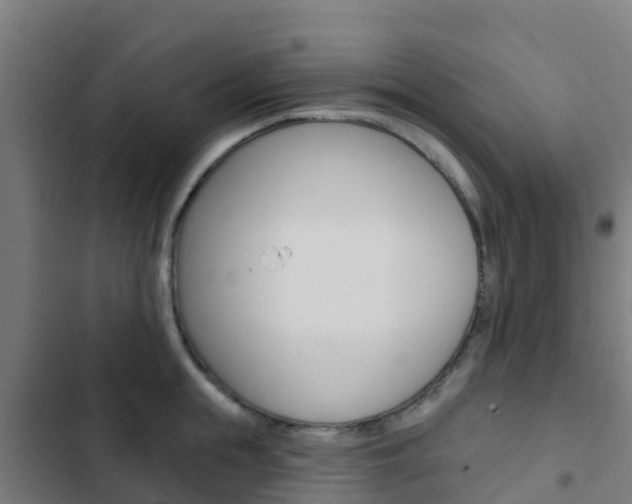 X0000103420855200809121011