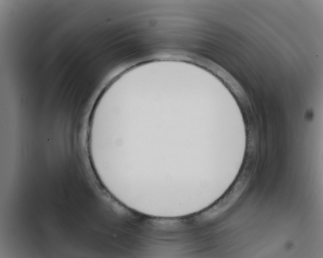X0000103420856200809121011