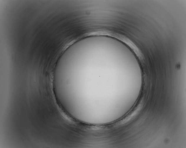 X0000103420857200809121011