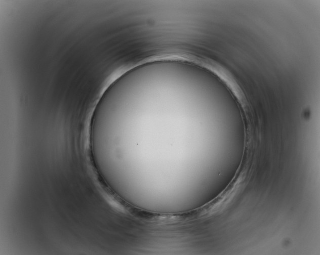 X0000103420858200809121011