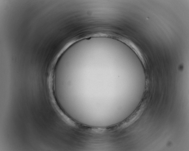 X0000103420859200809121011