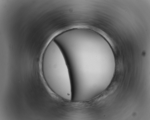X0000103420861200809121011