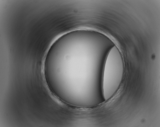 X0000103420862200809121011
