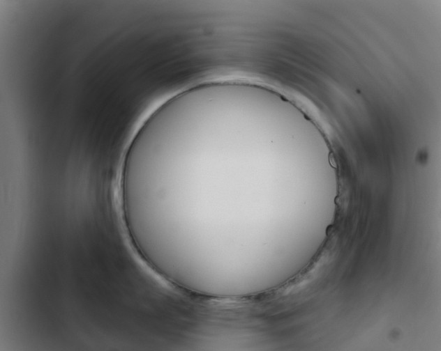 X0000103420863200809121011