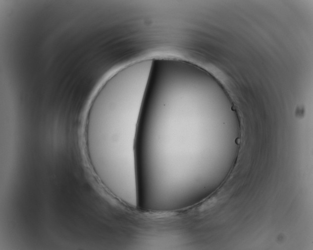 X0000103420864200809121011