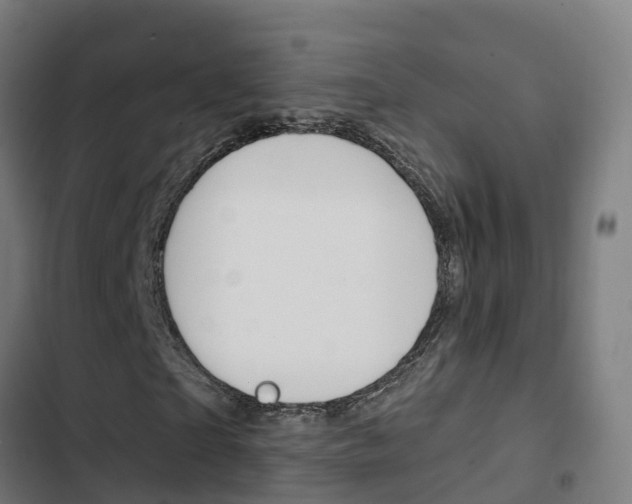 X0000103420865200809121010