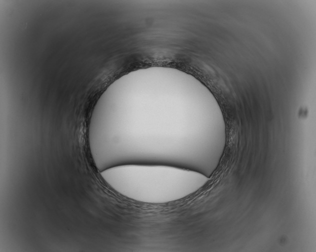 X0000103420866200809121010