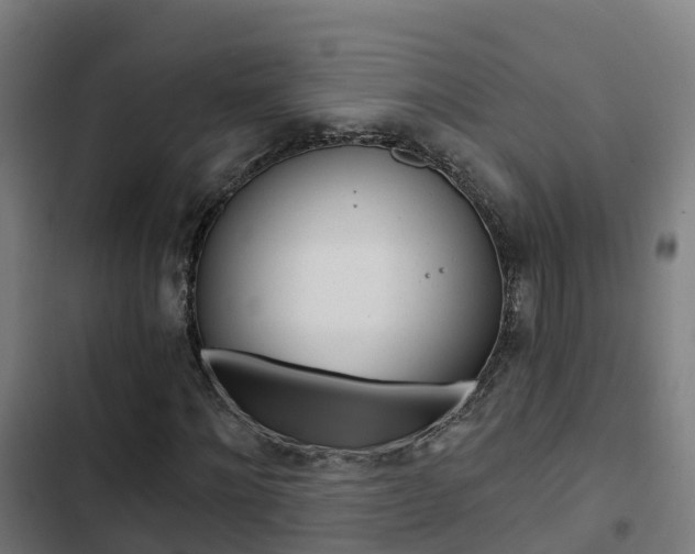 X0000103420868200809121010