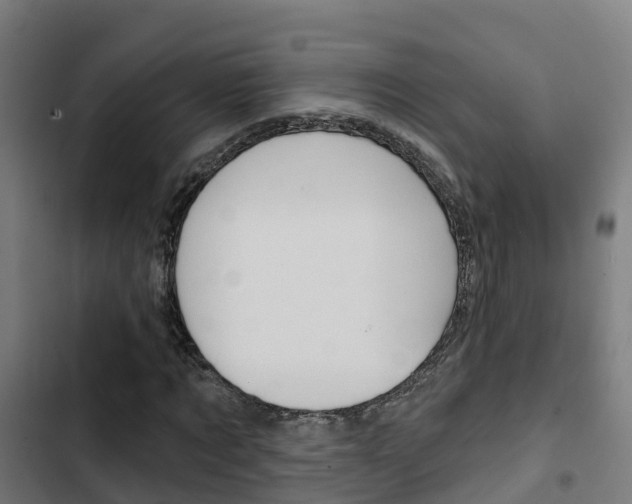X0000103420869200809121010