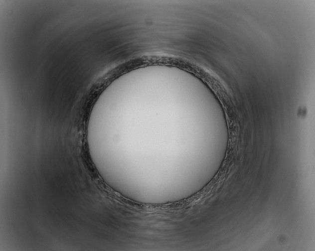 X0000103420870200809121010
