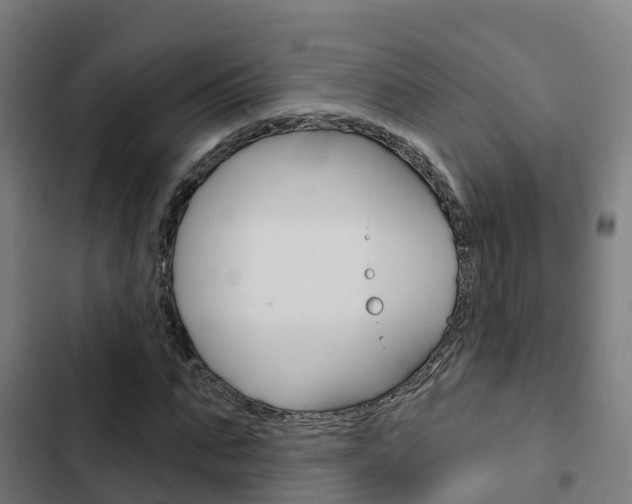 X0000103420871200809121010