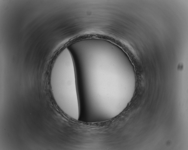 X0000103420872200809121010