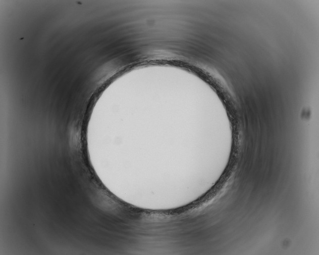 X0000103420873200809121010