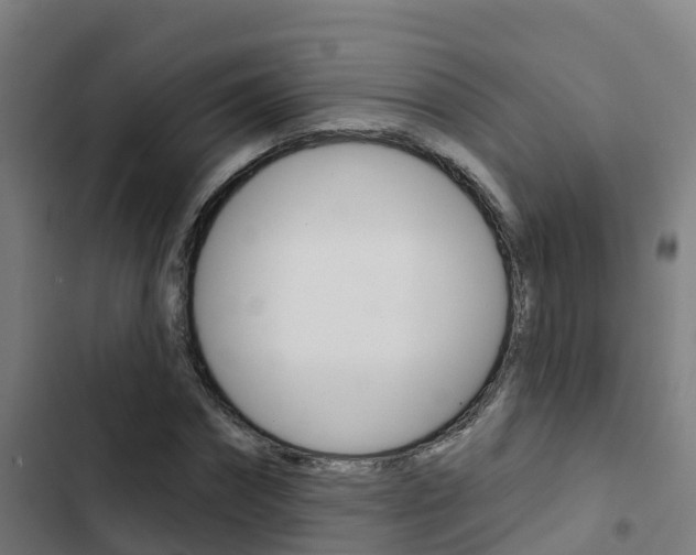 X0000103420874200809121010