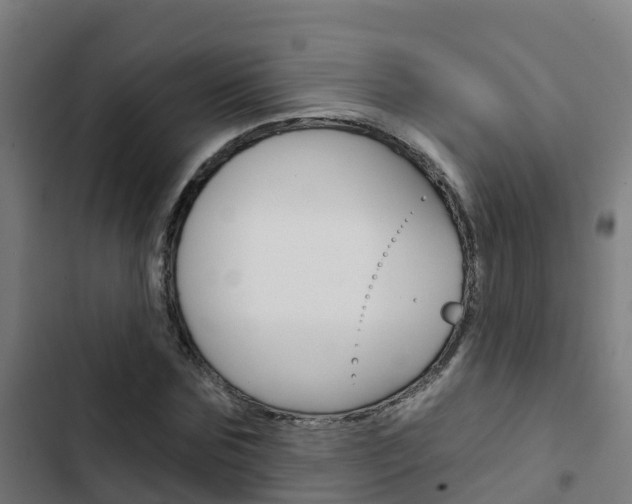 X0000103420875200809121010