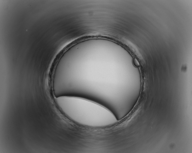 X0000103420876200809121010