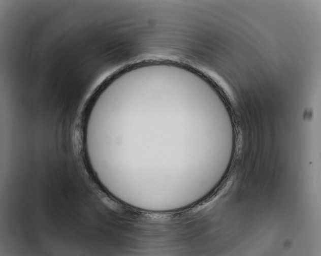 X0000103420878200809121010