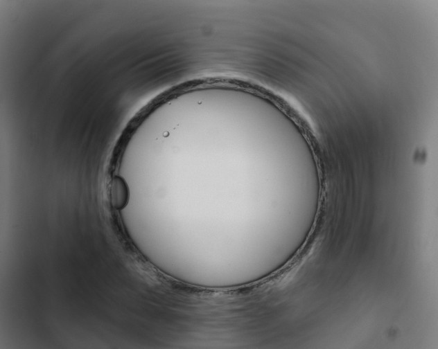 X0000103420879200809121010