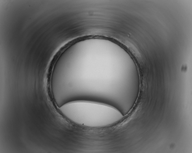 X0000103420880200809121010