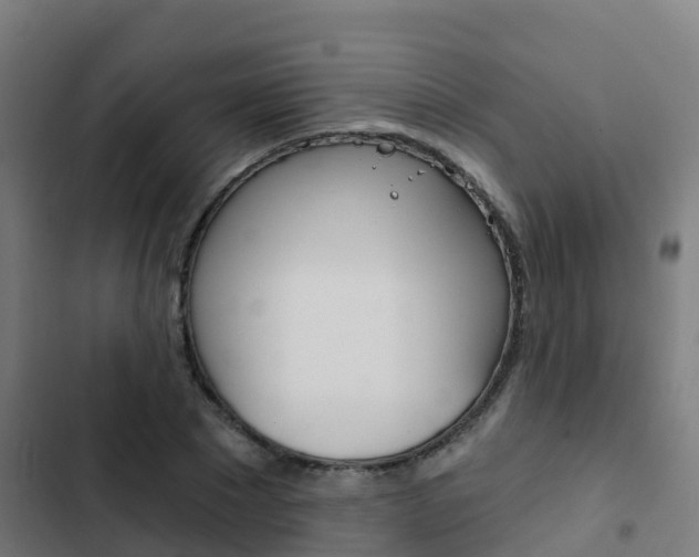 X0000103420881200809121010