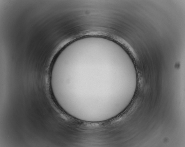 X0000103420882200809121010