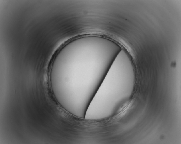 X0000103420883200809121010