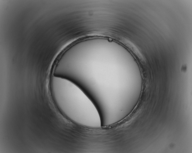 X0000103420884200809121010