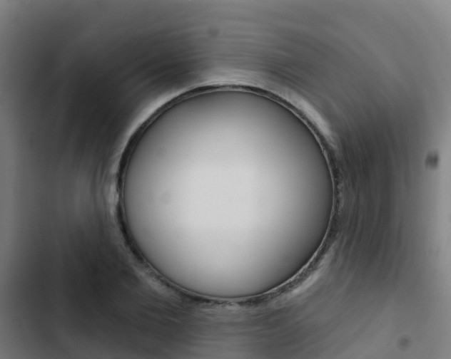 X0000103420885200809121010