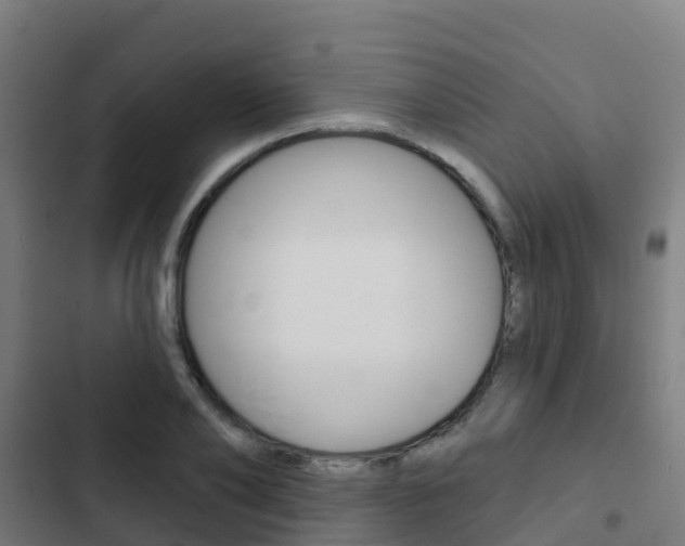 X0000103420886200809121010