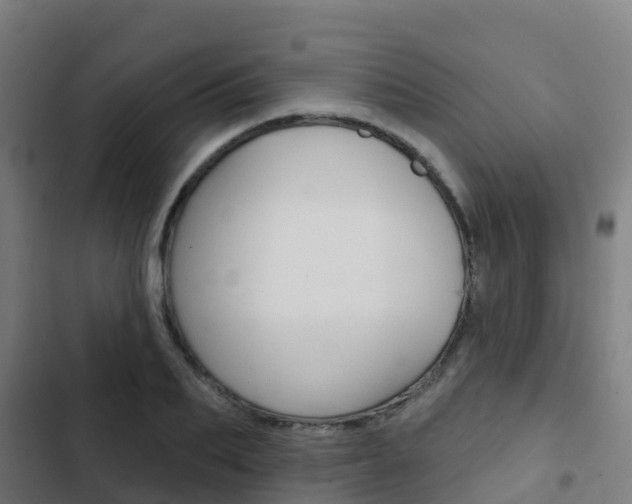 X0000103420887200809121010