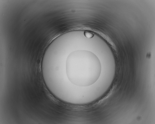 X0000103420889200809121010