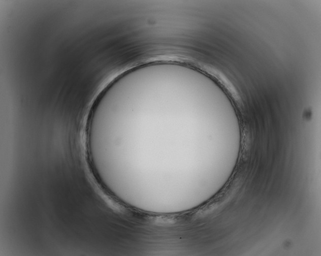 X0000103420890200809121010
