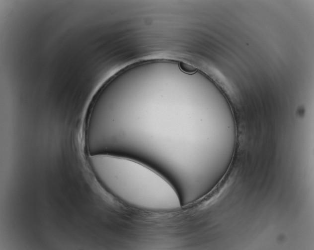 X0000103420892200809121010