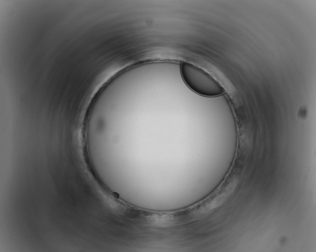 X0000103420893200809121010