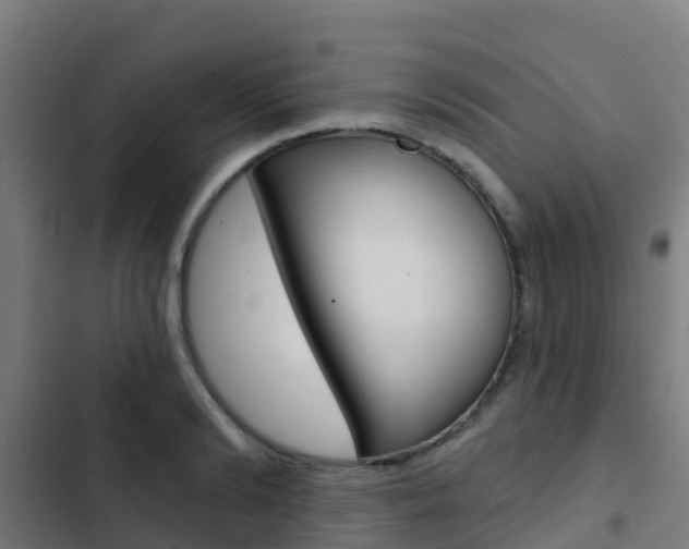 X0000103420894200809121010