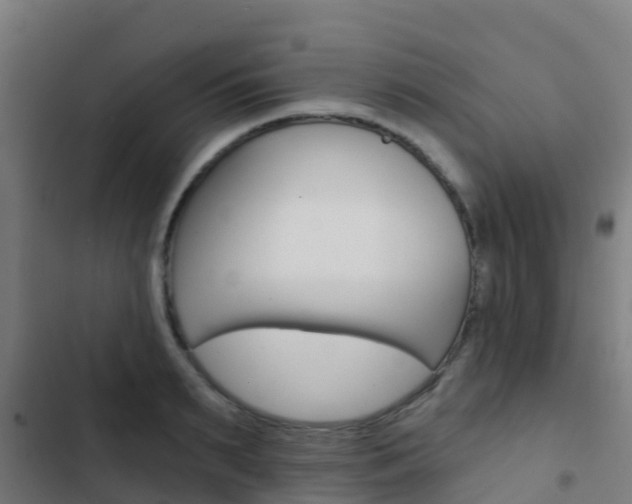 X0000103420895200809121010
