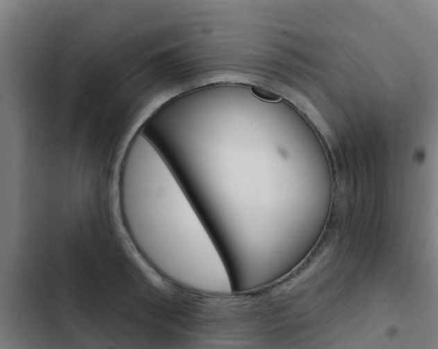 X0000103420898200809121009