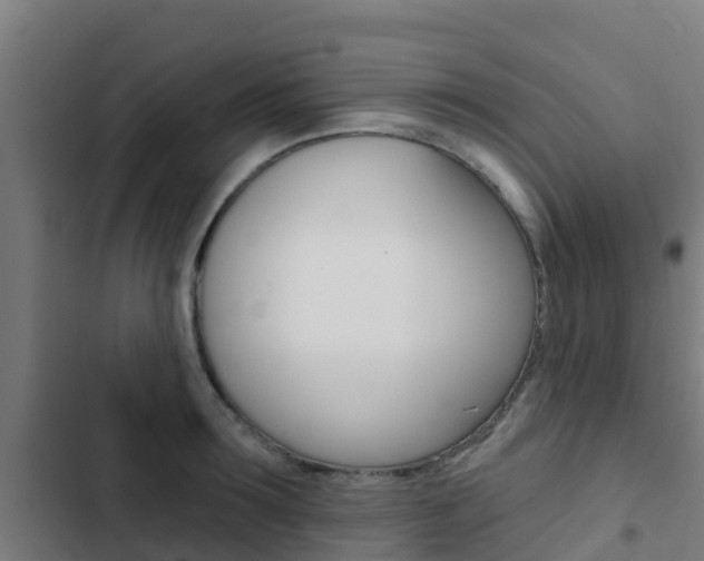 X0000103420899200809121009