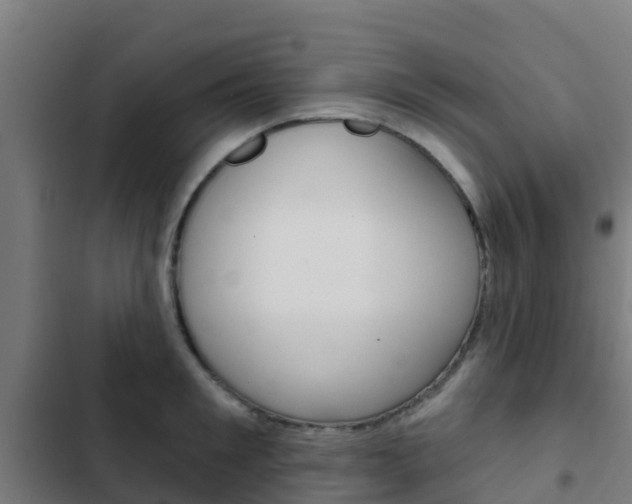 X0000103420901200809121009