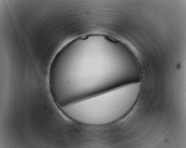 X0000103420902200809121009