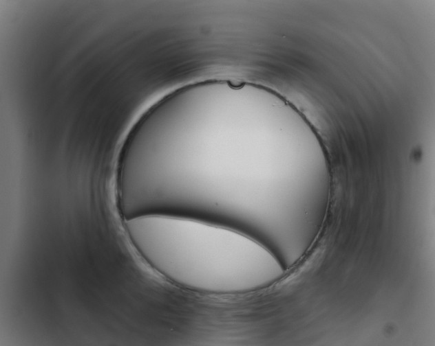 X0000103420904200809121009