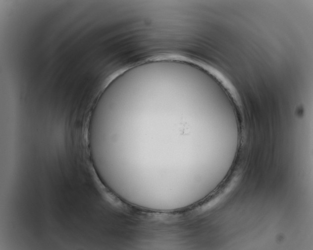 X0000103420905200809121009