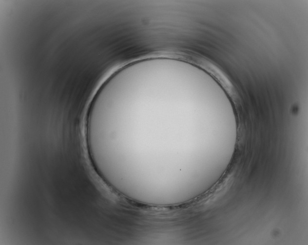 X0000103420907200809121009