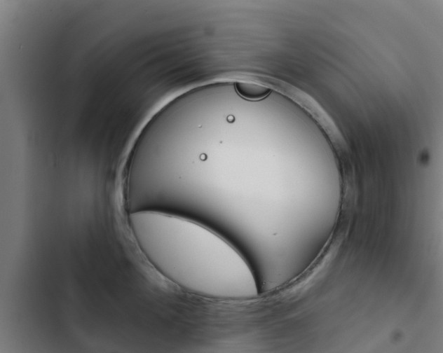 X0000103420908200809121009