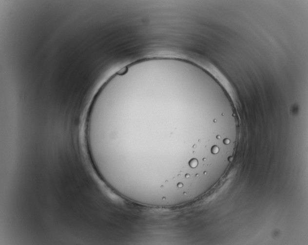 X0000103420909200809121009