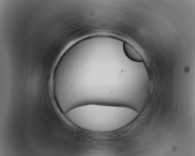 X0000103420911200809121009